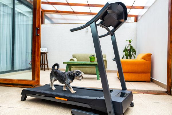 Cost of Treadmill Installation in Rockwall