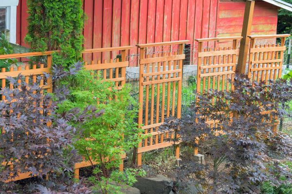 Wood Trellis Mounting in Rockwall