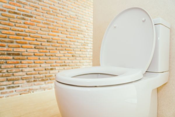 Cost of Toilet Seat Repair in Rockwall